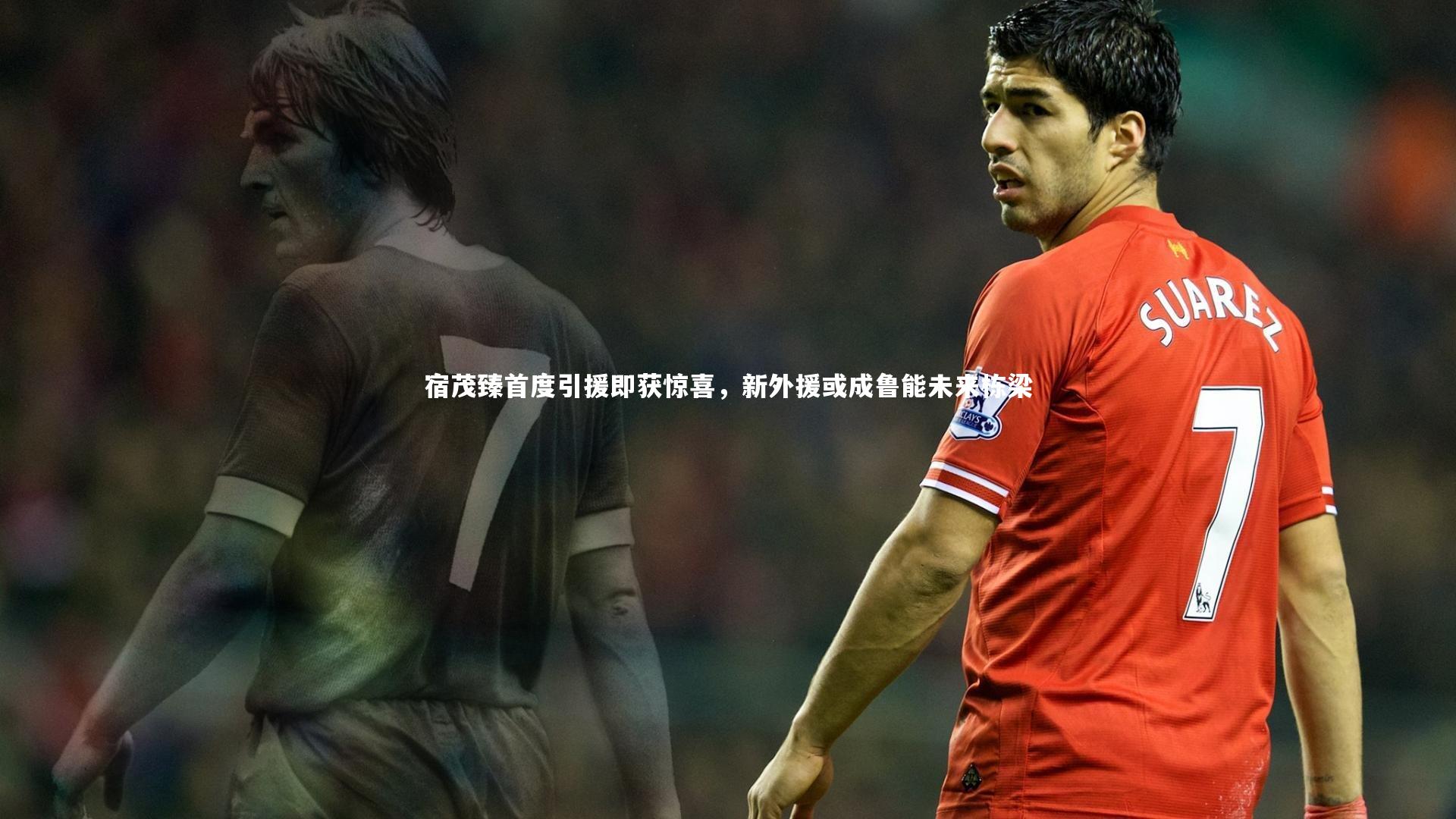 宿茂臻首度引援即获惊喜，新外援或成鲁能未来栋梁